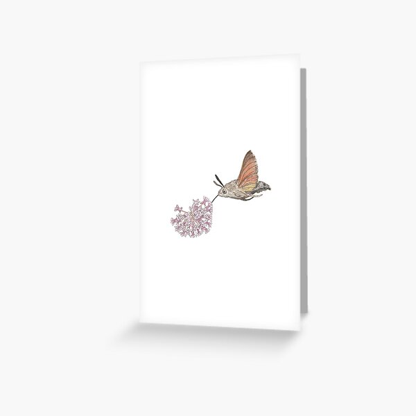 Item preview, Hummingbird Hawk Moth Watercolour designed and sold by RustyHen.