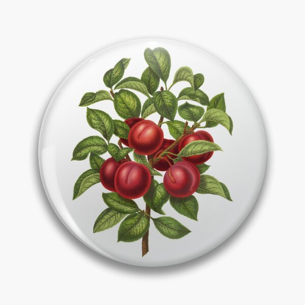 Item preview, Plums designed and sold by portokalis.