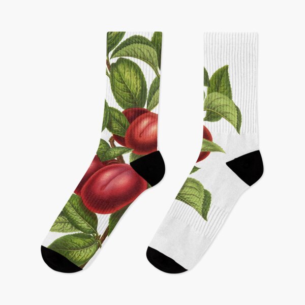 Item preview, Plums designed and sold by portokalis.