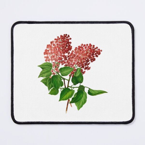 Item preview, Syringa Vulgaris designed and sold by portokalis.