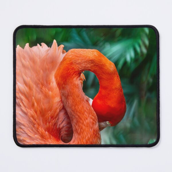 Item preview, Flamingo Curve designed and sold by Kay Brewer.