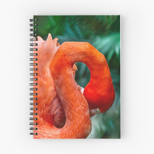 Item preview, Flamingo Curve designed and sold by Kay Brewer.