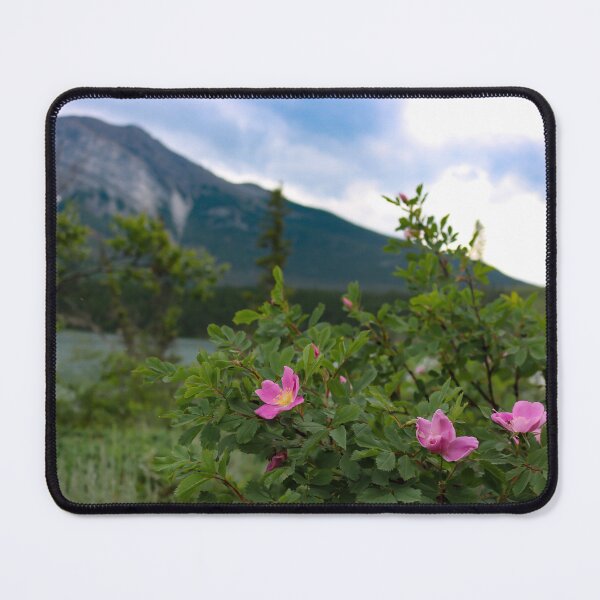 Item preview, Alberta Roses designed and sold by OhSnapPhoto.