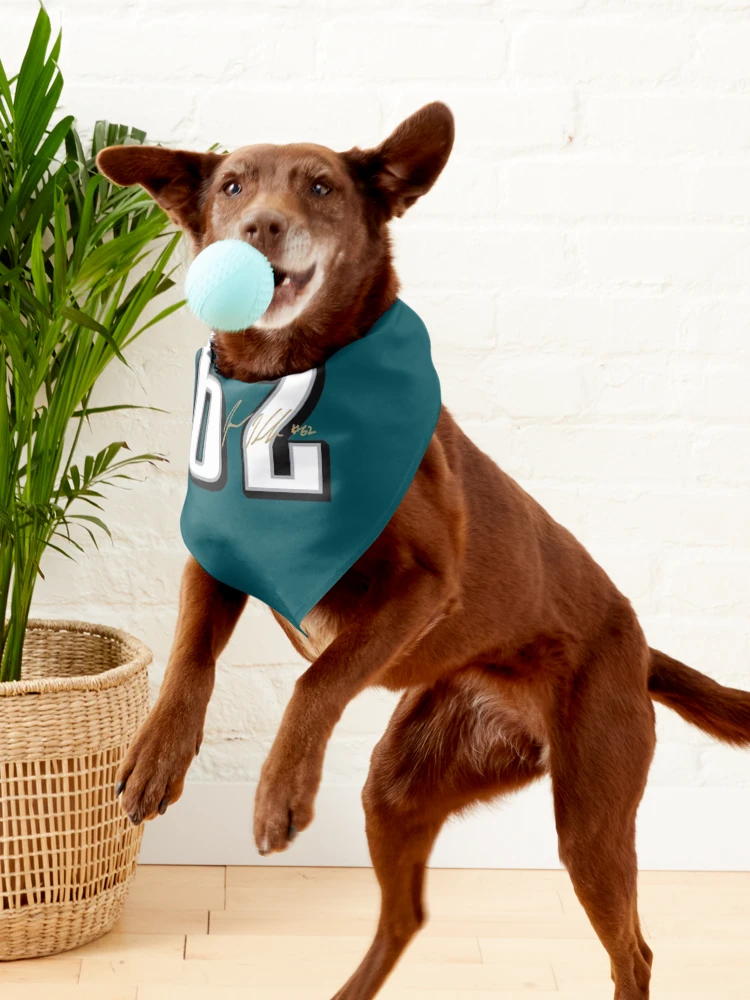 Philadelphia eagles dog clearance bandana