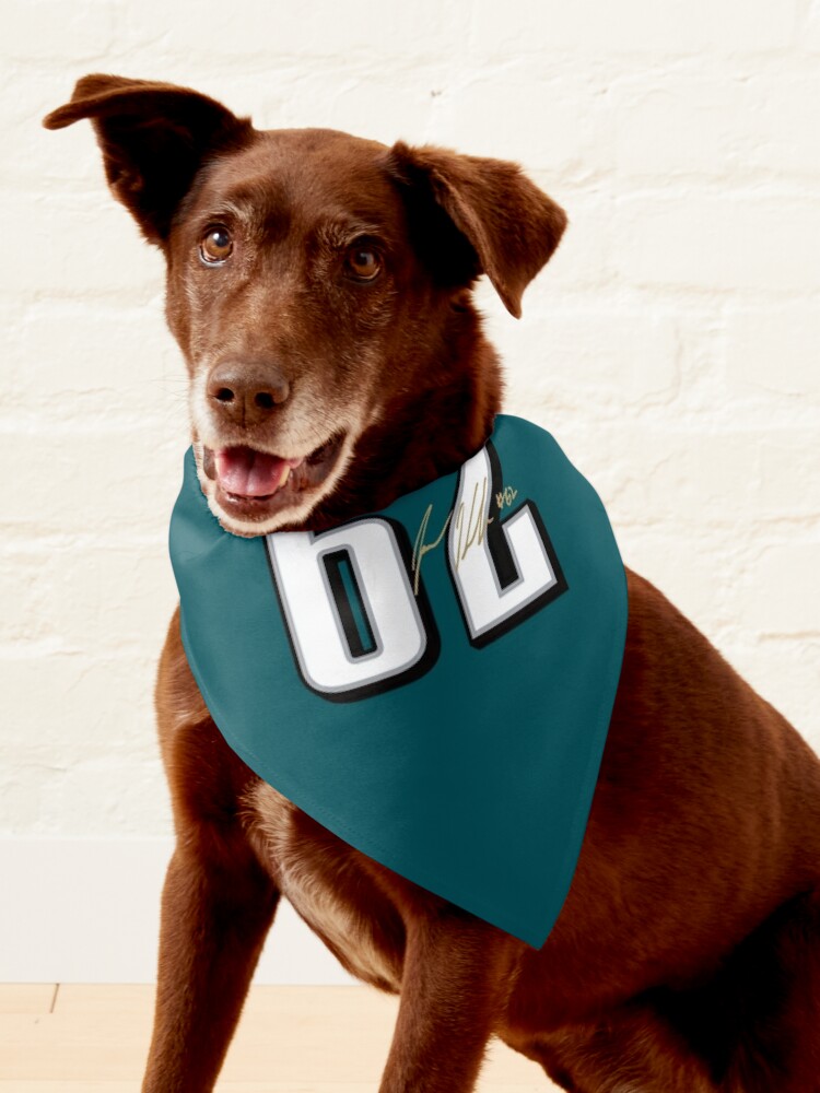 Philadelphia eagles best sale dog bandana