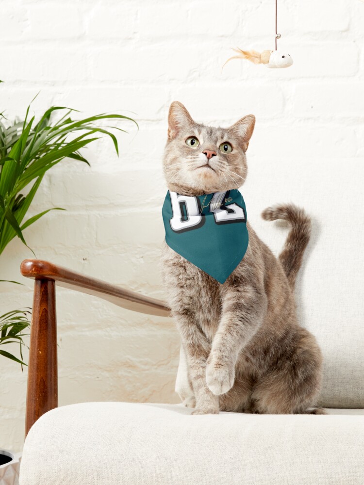 It's a Philly Thing Dogs Cats For Philadelphia Eagles Fans Pet Bandana  Collar