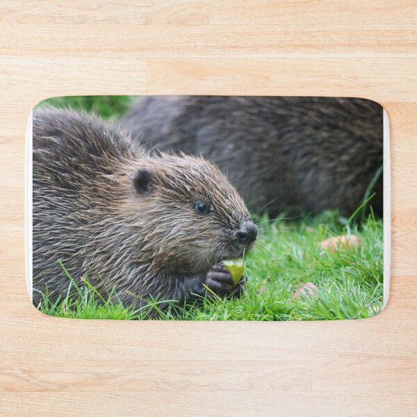 Item preview, Beaver kit II designed and sold by GreyFeatherPhot.