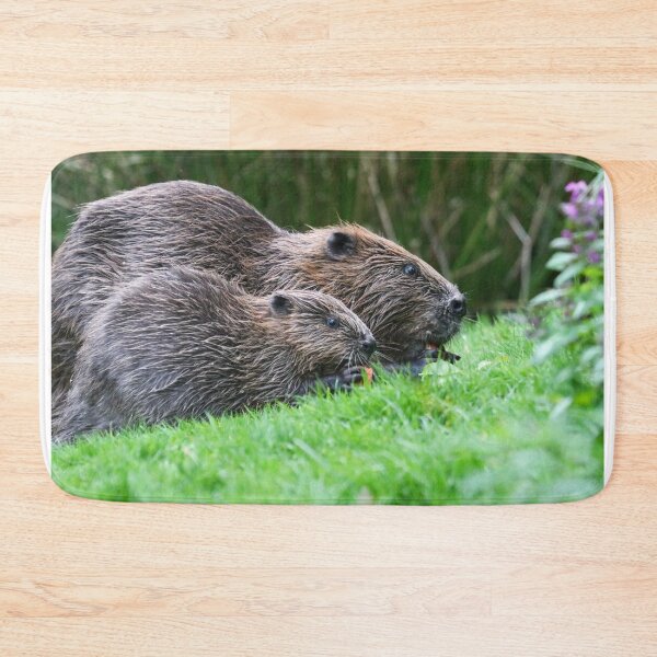 Item preview, Beaver with young designed and sold by GreyFeatherPhot.