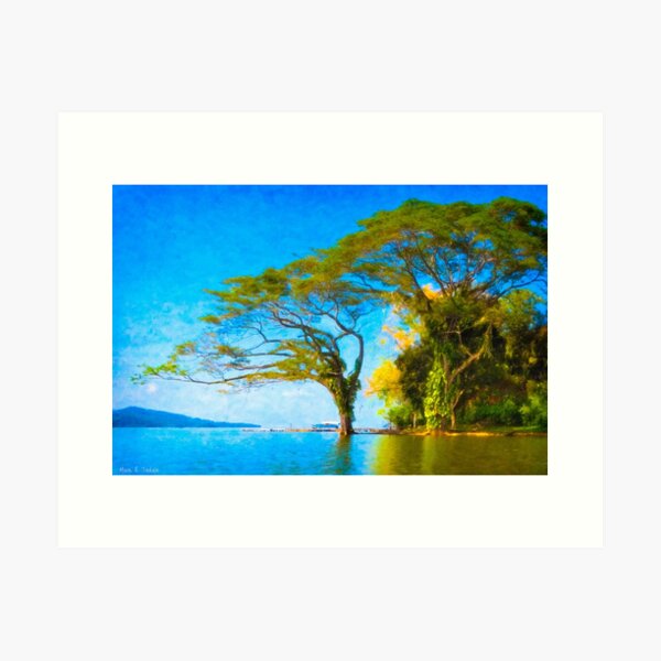 Aperçu de l'œuvre Dream Tree - Lac Nicaragua créée et vendue par Mark Tisdale Art.