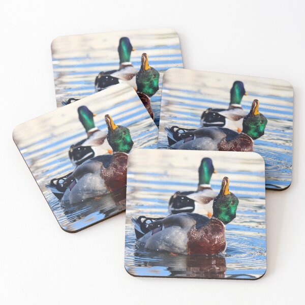 Item preview, Mallard duck display designed and sold by GreyFeatherPhot.
