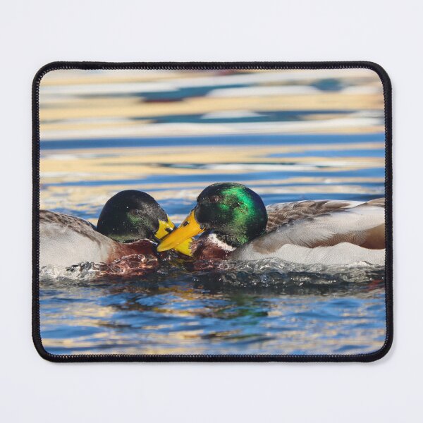 Item preview, Bill tug of war designed and sold by GreyFeatherPhot.