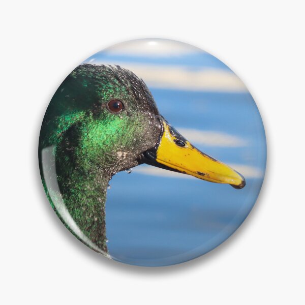 Item preview, Mallard drake portrait designed and sold by GreyFeatherPhot.