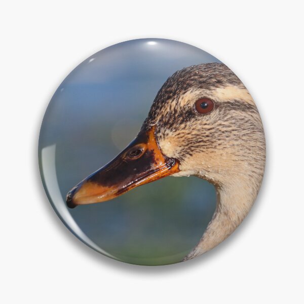 Item preview, Mallard duck portrait I designed and sold by GreyFeatherPhot.
