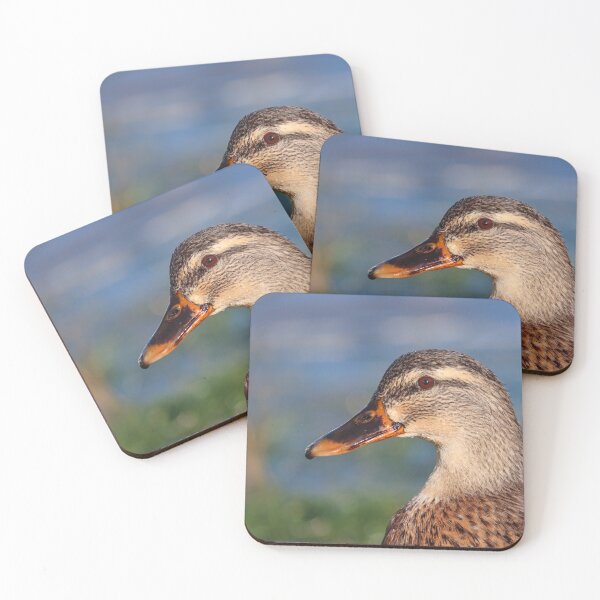 Item preview, Mallard duck portrait I designed and sold by GreyFeatherPhot.