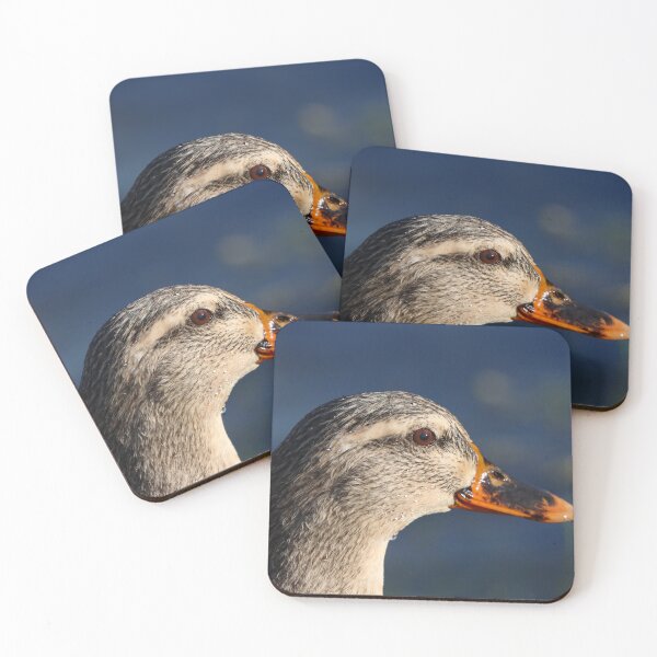 Item preview, Mallard duck portrait II designed and sold by GreyFeatherPhot.