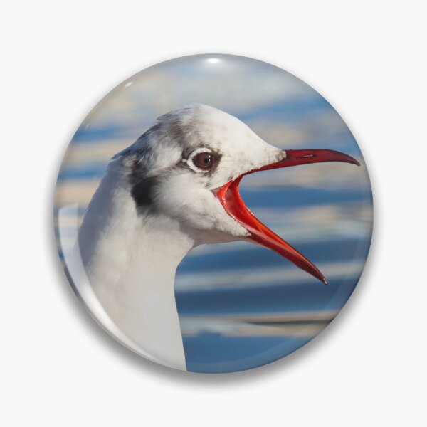 Item preview, Screeching gull designed and sold by GreyFeatherPhot.