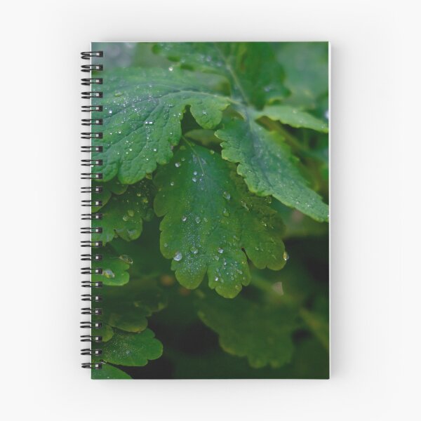 Item preview, a delicate leaf adorned with glistening water droplets designed and sold by alishen.