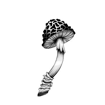 Champignon noir et blanc Sticker