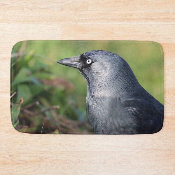 Item preview, Jackdaw closeup designed and sold by GreyFeatherPhot.