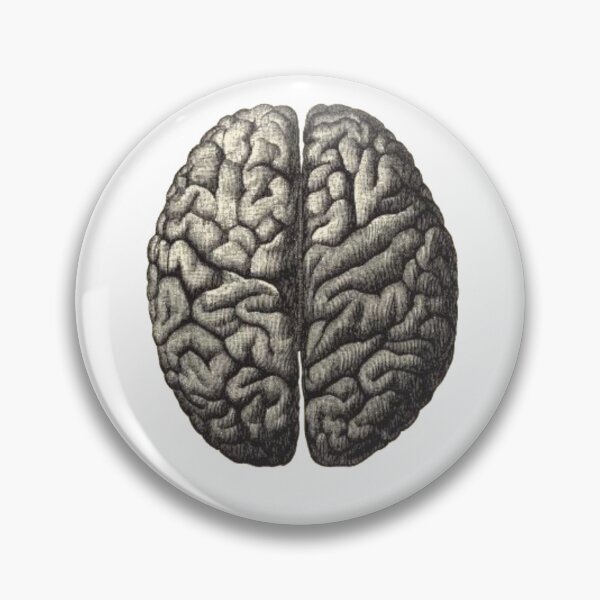 Item preview, Anatomical Brain Drawing designed and sold by Porosenok.