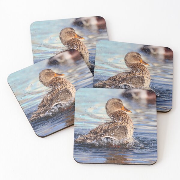 Item preview, Mallard making a splash designed and sold by GreyFeatherPhot.