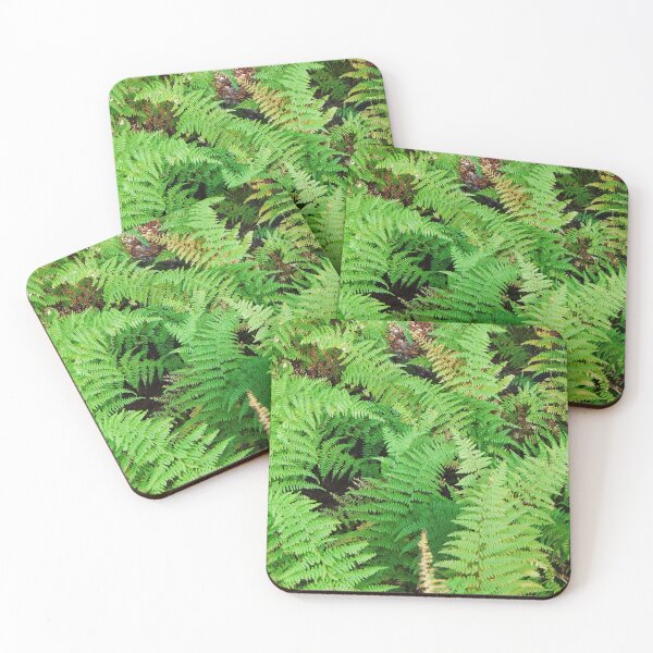 Item preview, Hay-Scented Fern on Blue Ridge Parkway designed and sold by gistinker.
