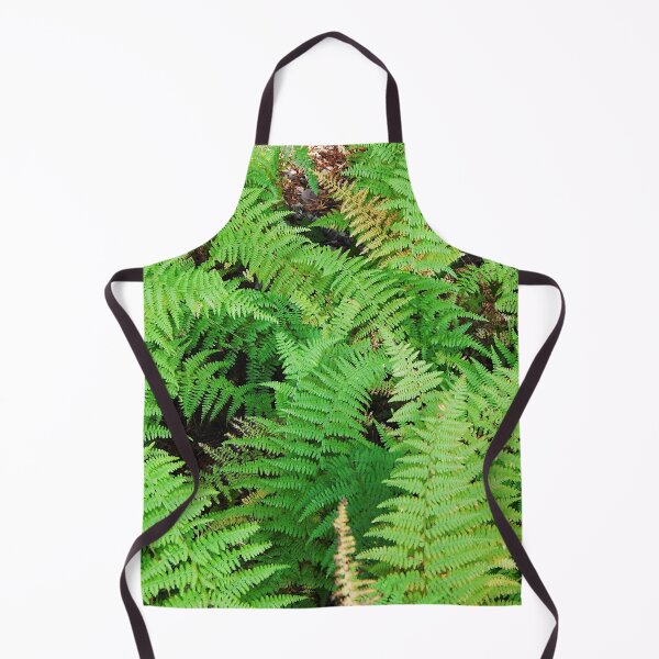 Item preview, Hay-Scented Fern on Blue Ridge Parkway designed and sold by gistinker.