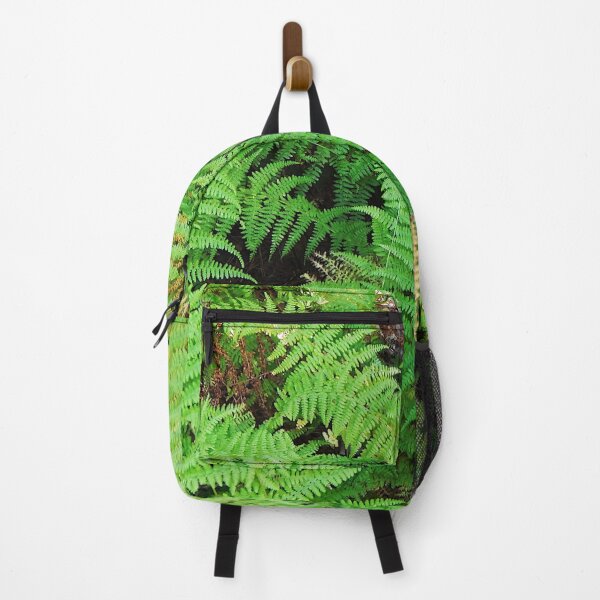 Item preview, Hay-Scented Fern on Blue Ridge Parkway designed and sold by gistinker.