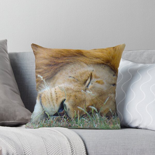 Item preview, Sleep time designed and sold by DreaminReality.