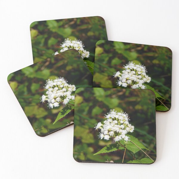 Item preview, White Snakeroot Flower designed and sold by gistinker.