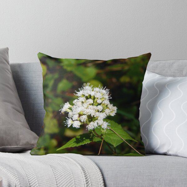 Item preview, White Snakeroot Flower designed and sold by gistinker.