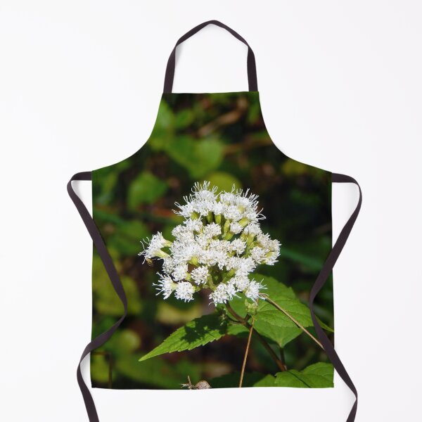 Item preview, White Snakeroot Flower designed and sold by gistinker.