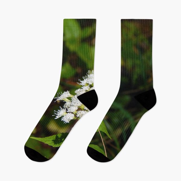 Item preview, White Snakeroot Flower designed and sold by gistinker.