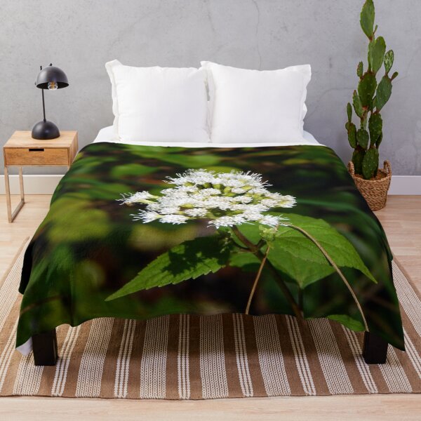 Item preview, White Snakeroot Flower designed and sold by gistinker.