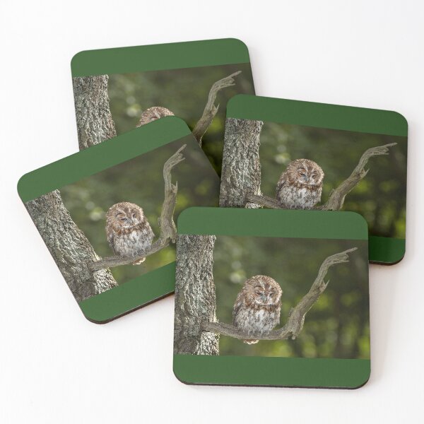 Item preview, The Cute Owl designed and sold by jimmyboysnapz.