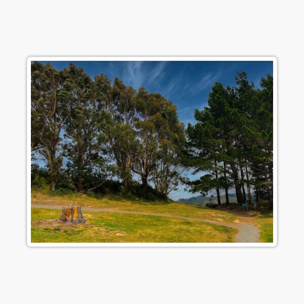 Bush Walk Storm Drain Metal Grill Cover Art Print for Sale by Michael  McGimpsey