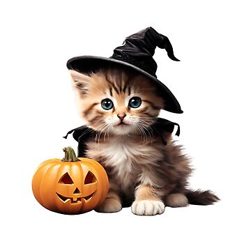 Kitten deals adult costume