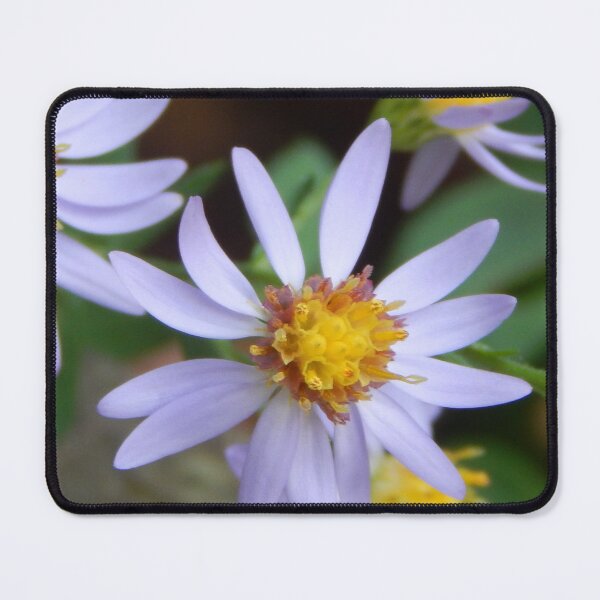 Item preview, Wavy-leafed Aster designed and sold by gistinker.