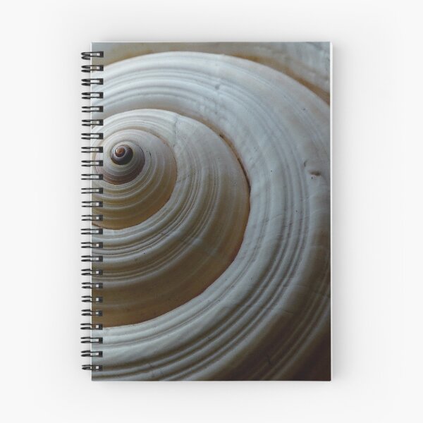 Item preview, Sea Spiral designed and sold by Roger Easley.