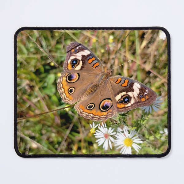 Item preview, Uncommonly Beautiful Common Buckeye designed and sold by gistinker.