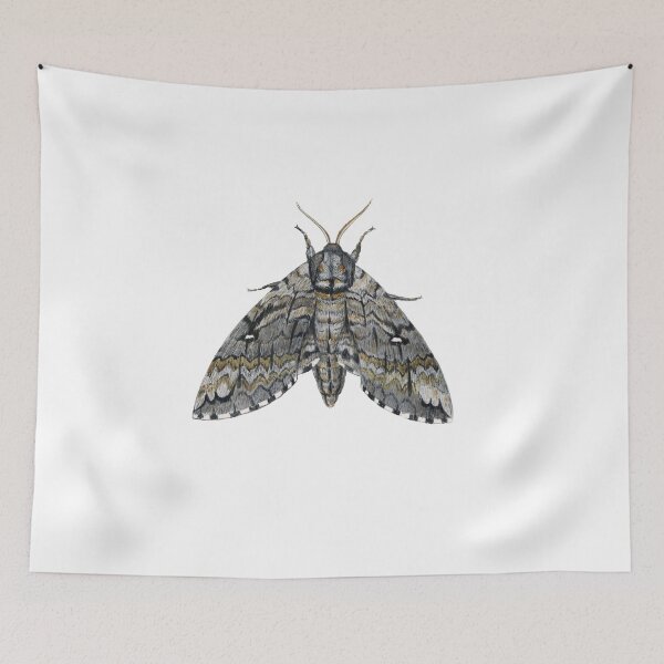 Item preview, Waved Sphinx (Ceratomia undulosa) designed and sold by JadaFitch.
