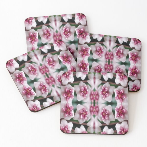 Item preview, Hoya obovata stripes designed and sold by paintedmel.