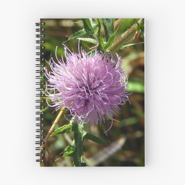 Item preview, Field Thistle in Mountain Meadow designed and sold by gistinker.