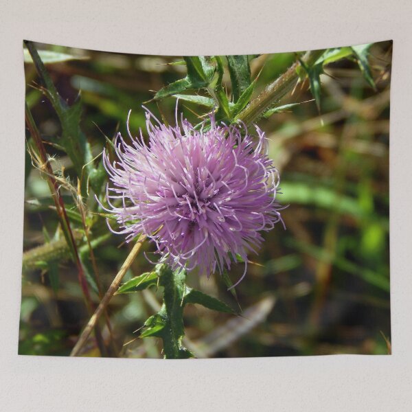 Item preview, Field Thistle in Mountain Meadow designed and sold by gistinker.