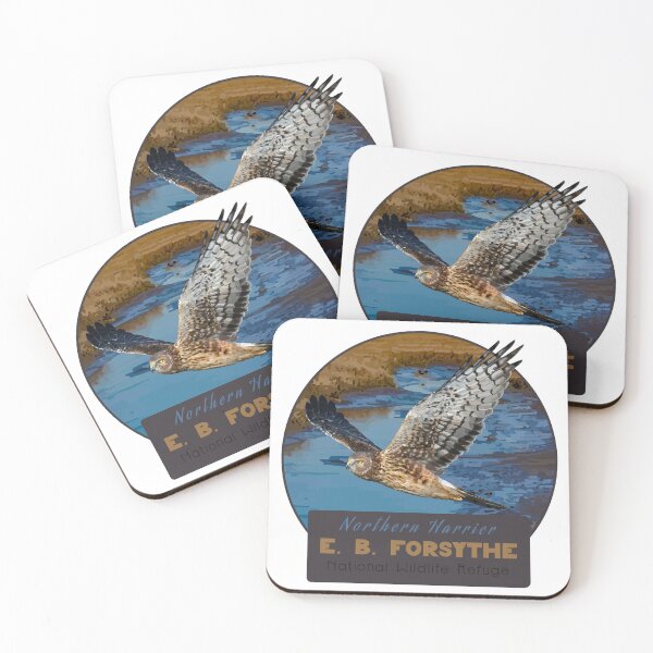 Item preview, Birds and Parks: E.B. Forsythe National Wildlife Refuge/Northern Harrier designed and sold by LauraWolfArtist.
