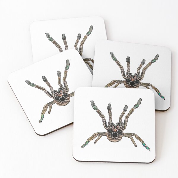 Item preview, Pterinochilus murinus tcf designed and sold by AikasHeaven.