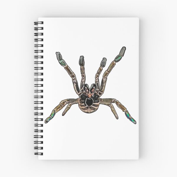 Item preview, Pterinochilus murinus tcf designed and sold by AikasHeaven.
