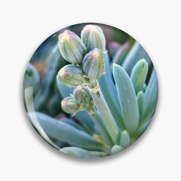 Item preview, Budding Expectation designed and sold by Sophia Flot-Warner.
