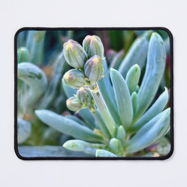 Item preview, Budding Expectation designed and sold by Sophia Flot-Warner.