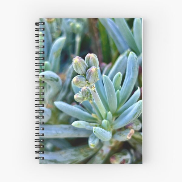 Item preview, Budding Expectation designed and sold by Sophia Flot-Warner.